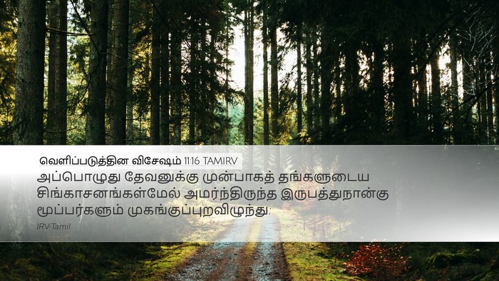 வெளிப்படுத்தின விசேஷம் 11:16 TAMIRV Bible Verse Image