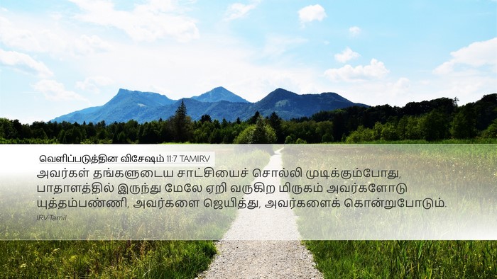 வெளிப்படுத்தின விசேஷம் 11:7 TAMIRV Bible Verse Image