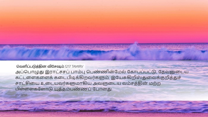 வெளிப்படுத்தின விசேஷம் 12:17 TAMIRV Bible Verse Image