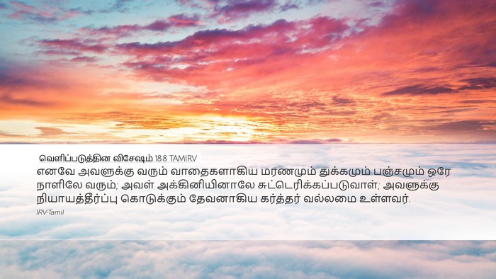 வெளிப்படுத்தின விசேஷம் 18:8 TAMIRV Bible Verse Image