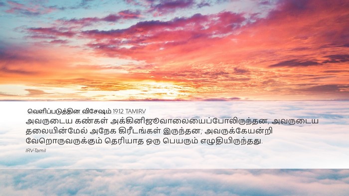 வெளிப்படுத்தின விசேஷம் 19:12 TAMIRV Bible Verse Image