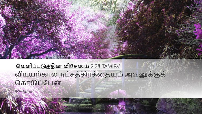 வெளிப்படுத்தின விசேஷம் 2:28 TAMIRV Bible Verse Image