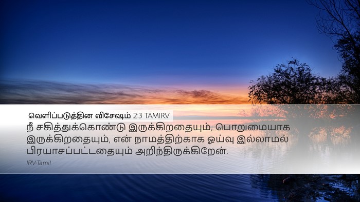வெளிப்படுத்தின விசேஷம் 2:3 TAMIRV Bible Verse Image