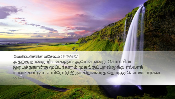 வெளிப்படுத்தின விசேஷம் 5:14 TAMIRV Bible Verse Image