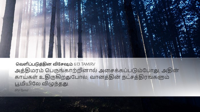 வெளிப்படுத்தின விசேஷம் 6:13 TAMIRV Bible Verse Image