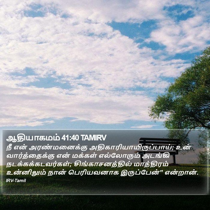 ஆதியாகமம் 41:40 TAMIRV - நீ என்