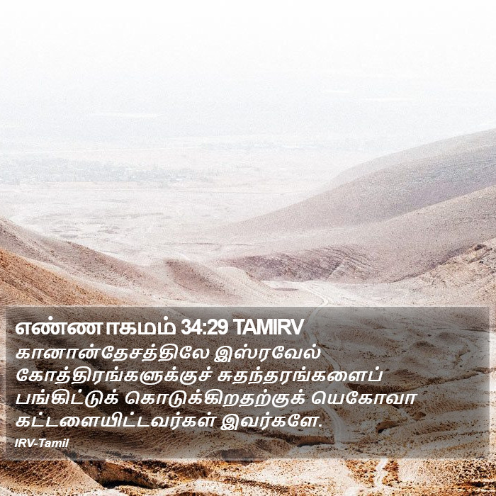 எண்ணாகமம் 34:29 TAMIRV - கானான்தேசத்திலே - Bible Verse Picture