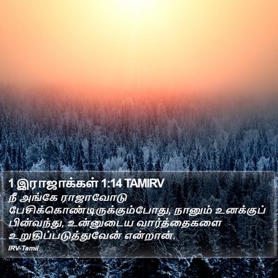 1 இராஜாக்கள் 1:14 TAMIRV Bible Verse Image