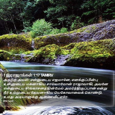 1 இராஜாக்கள் 1:17 TAMIRV Bible Verse Image