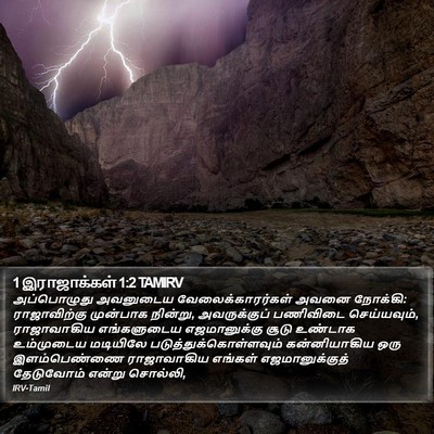 1 இராஜாக்கள் 1:2 TAMIRV Bible Verse Image