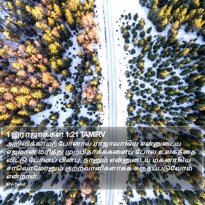 1 இராஜாக்கள் 1:21 TAMIRV Bible Verse Image