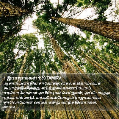 1 இராஜாக்கள் 1:39 TAMIRV Bible Verse Image