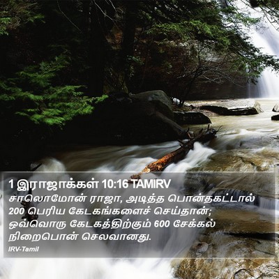 1 இராஜாக்கள் 10:16 TAMIRV Bible Verse Image