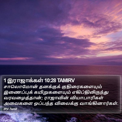 1 இராஜாக்கள் 10:28 TAMIRV Bible Verse Image
