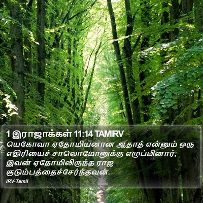 1 இராஜாக்கள் 11:14 TAMIRV Bible Verse Image