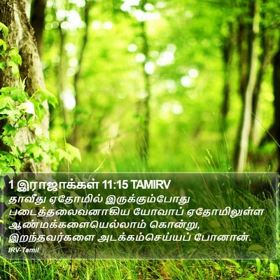 1 இராஜாக்கள் 11:15 TAMIRV Bible Verse Image