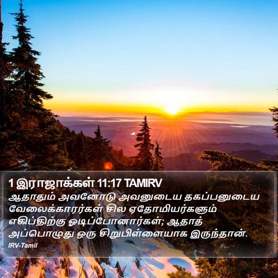 1 இராஜாக்கள் 11:17 TAMIRV Bible Verse Image