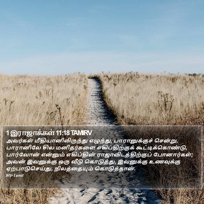 1 இராஜாக்கள் 11:18 TAMIRV Bible Verse Image