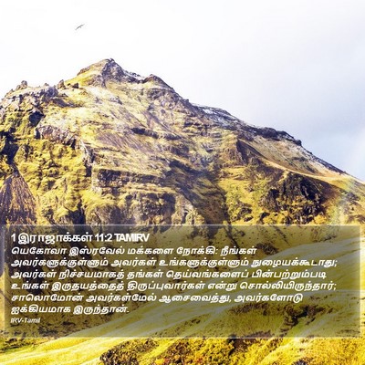1 இராஜாக்கள் 11:2 TAMIRV Bible Verse Image