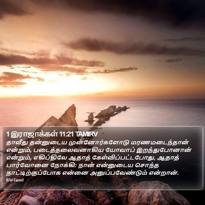 1 இராஜாக்கள் 11:21 TAMIRV Bible Verse Image