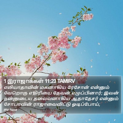 1 இராஜாக்கள் 11:23 TAMIRV Bible Verse Image