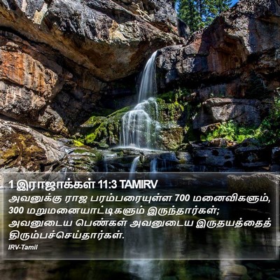 1 இராஜாக்கள் 11:3 TAMIRV Bible Verse Image