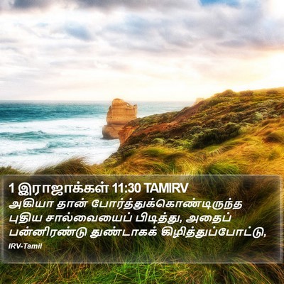 1 இராஜாக்கள் 11:30 TAMIRV Bible Verse Image