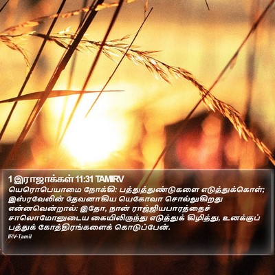 1 இராஜாக்கள் 11:31 TAMIRV Bible Verse Image