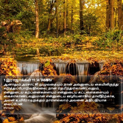 1 இராஜாக்கள் 11:34 TAMIRV Bible Verse Image