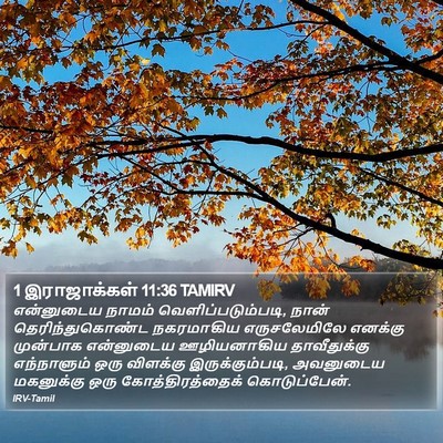 1 இராஜாக்கள் 11:36 TAMIRV Bible Verse Image
