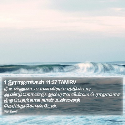 1 இராஜாக்கள் 11:37 TAMIRV Bible Verse Image
