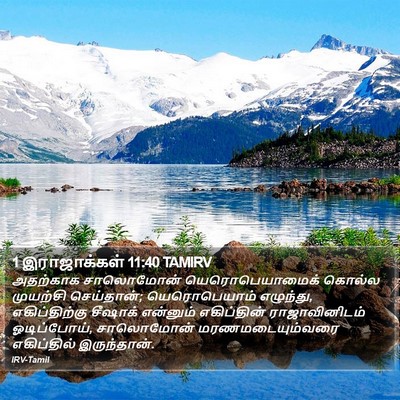 1 இராஜாக்கள் 11:40 TAMIRV Bible Verse Image