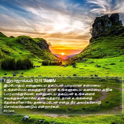 1 இராஜாக்கள் 12:11 TAMIRV Bible Verse Image
