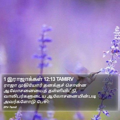 1 இராஜாக்கள் 12:13 TAMIRV Bible Verse Image