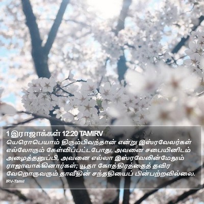 1 இராஜாக்கள் 12:20 TAMIRV Bible Verse Image