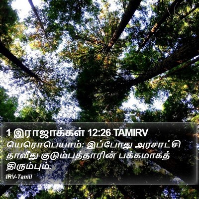 1 இராஜாக்கள் 12:26 TAMIRV Bible Verse Image