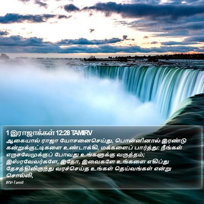 1 இராஜாக்கள் 12:28 TAMIRV Bible Verse Image