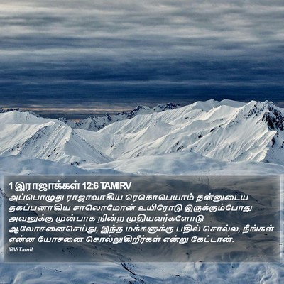 1 இராஜாக்கள் 12:6 TAMIRV Bible Verse Image