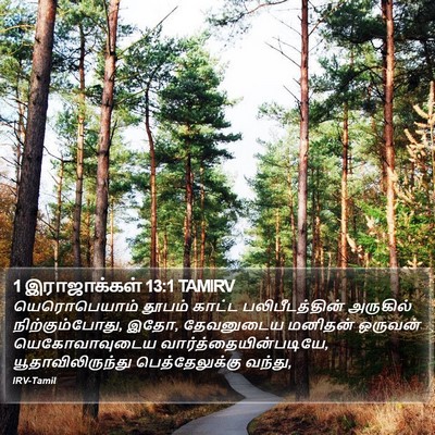 1 இராஜாக்கள் 13:1 TAMIRV Bible Verse Image