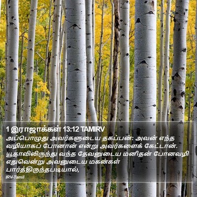 1 இராஜாக்கள் 13:12 TAMIRV Bible Verse Image