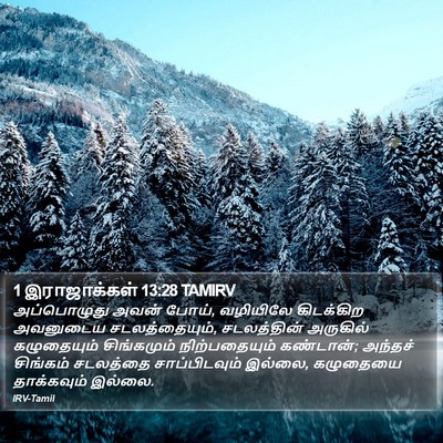 1 இராஜாக்கள் 13:28 TAMIRV Bible Verse Image