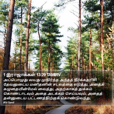 1 இராஜாக்கள் 13:29 TAMIRV Bible Verse Image