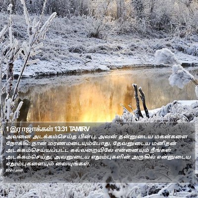 1 இராஜாக்கள் 13:31 TAMIRV Bible Verse Image