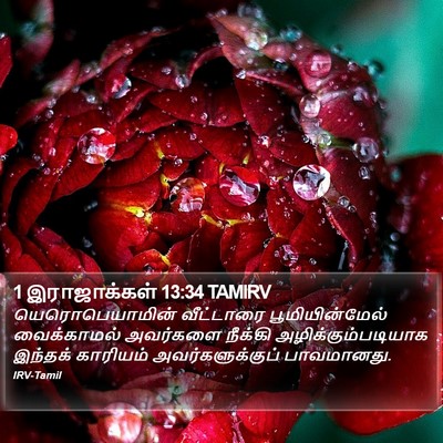 1 இராஜாக்கள் 13:34 TAMIRV Bible Verse Image