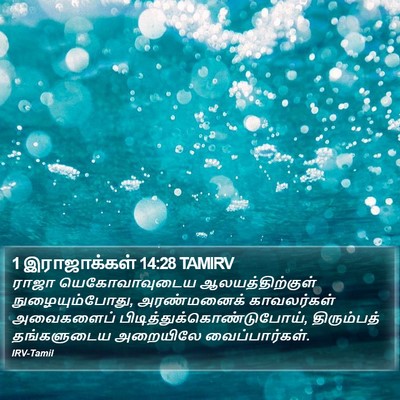 1 இராஜாக்கள் 14:28 TAMIRV Bible Verse Image