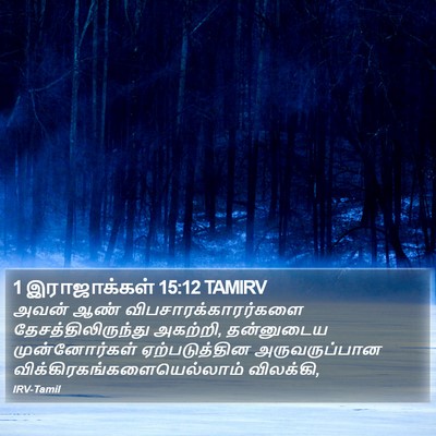 1 இராஜாக்கள் 15:12 TAMIRV Bible Verse Image