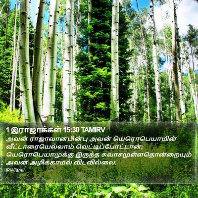 1 இராஜாக்கள் 15:30 TAMIRV Bible Verse Image
