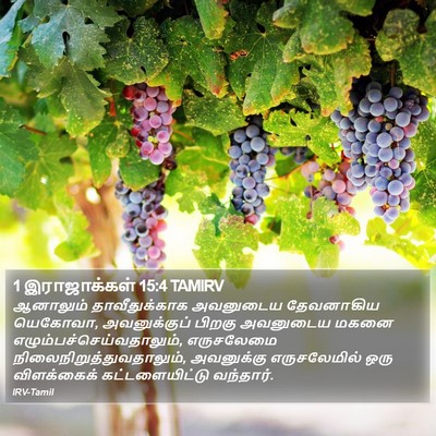 1 இராஜாக்கள் 15:4 TAMIRV Bible Verse Image