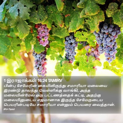 1 இராஜாக்கள் 16:24 TAMIRV Bible Verse Image