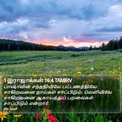 1 இராஜாக்கள் 16:4 TAMIRV Bible Verse Image